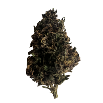 Deep Purple CBD OZK Drôme - Cannababa