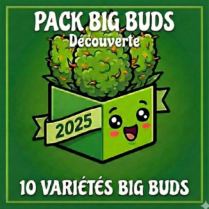 Pack "Big Bud" Nouveautés 2025