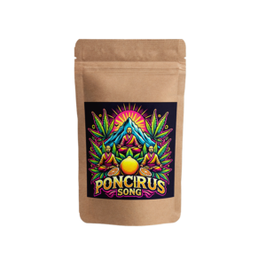 Poncirus Song (Small Buds)